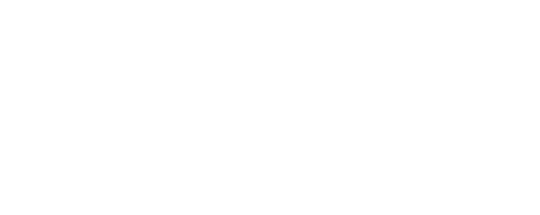 Daniel Boone Council Logo (250)