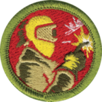 Merit Badges - Stock Image
